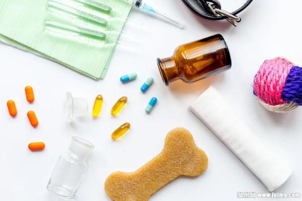 【便民】寵物的玩具、掉落的毛...如何進行垃圾分類?請收好這份專屬指南 【便民】寵物的玩具、掉落的毛...如何進行垃圾分類?請收好這份專屬指南