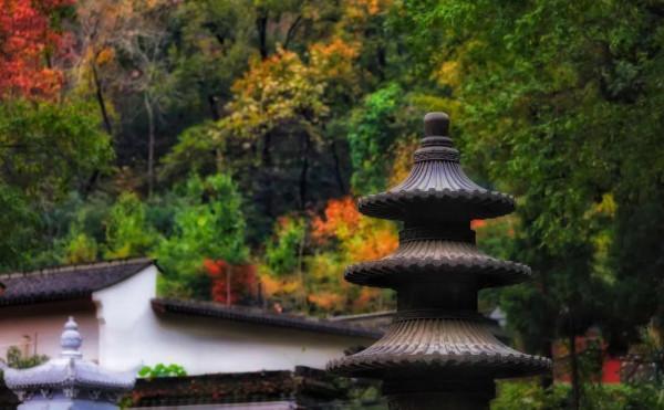 既有悠悠歷史，又有俗世煙火，來南京看看吧