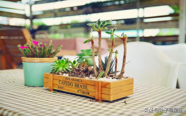 年紀不大,心理成熟度很高的三星座,他們比同齡人更有優勢 年紀不大,心理成熟度很高的三星座,他們比同齡人更有優勢