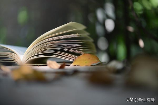 原來，無論你經歷了什麼，老天爺一直在“幫”著你