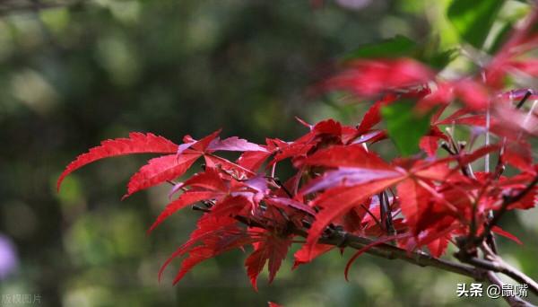 《尉繚子》原文 譯文(十七) 《尉繚子》原文 譯文(十七)