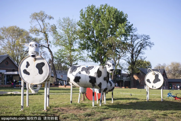 全部免費!好玩又出片的小眾打卡地!還藏著不少老北京的回憶 全部免費!好玩又出片的小眾打卡地!還藏著不少老北京的回憶