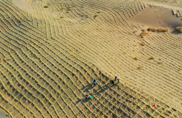 地球正在&OpenCurlyDoubleQuote;變綠&rdquo;，主因在於中印，為何印度的&OpenCurlyDoubleQuote;綠&rdquo;引專家擔憂？