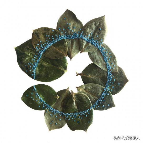 充滿創意和活力的植物刺繡,為幹葉標本增色不少 充滿創意和活力的植物刺繡,為幹葉標本增色不少