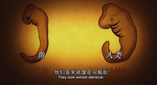 從神話到分子生物學,人類現在可以決定自己的演化了嗎? 從神話到分子生物學,人類現在可以決定自己的演化了嗎?