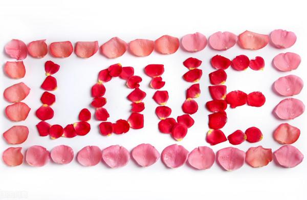 父母說，如果我能考上體制內的工作，就不再對我催婚了