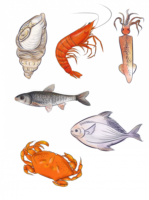 春節飲食知多少，保證健康最重要