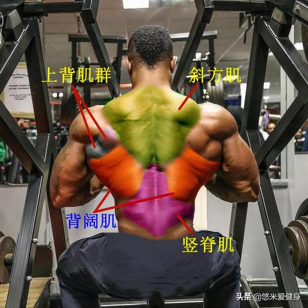 想要增加背闊肌厚度，多做這3個動作，更有效提升練背效果