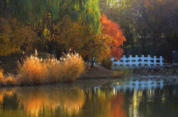 心理學:情商低的人,拎不清這3樣“東西” 心理學:情商低的人,拎不清這3樣“東西”