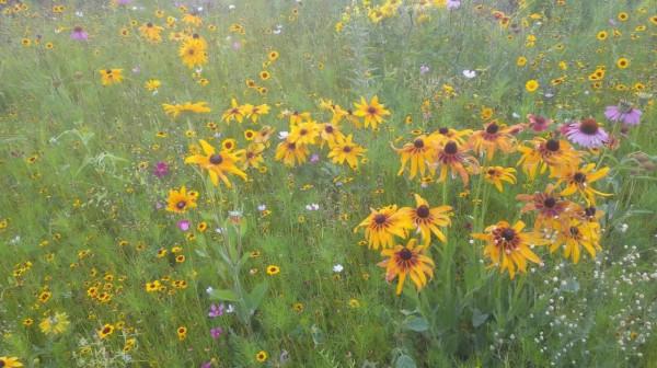 西域漫記&mdash;&mdash;西域都護府