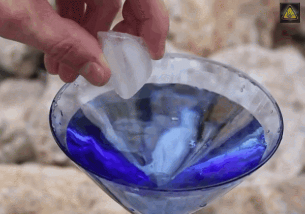 86個難得一見的照片，仙鶴踢飛老鷹，世界最早自拍，鞭腿的力量