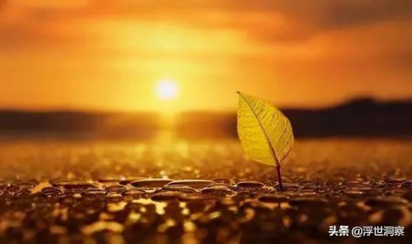 不好高騖遠,懂得取捨的星座:理性而智慧,量力而行 不好高騖遠,懂得取捨的星座:理性而智慧,量力而行