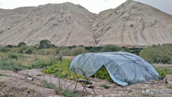 新疆遊記 | 塔什庫爾幹:有一個朋友叫“老卡” 新疆遊記 | 塔什庫爾幹:有一個朋友叫“老卡”