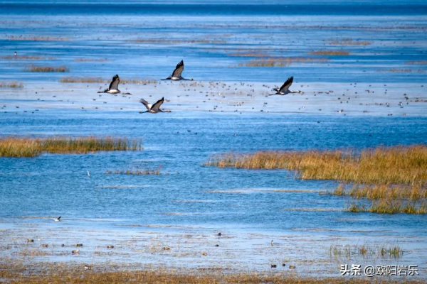 這20個地方藏著中國最美的冬天，2021最後一個月，錯過再等一年