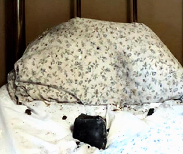 隕石墜落在加拿大女子旁邊的枕頭上，她奇蹟般地逃脫了死亡