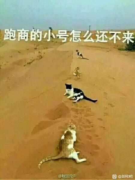 劍網3趣圖合集：都說一入此谷，永不受苦，說的不是萬花谷嗎？