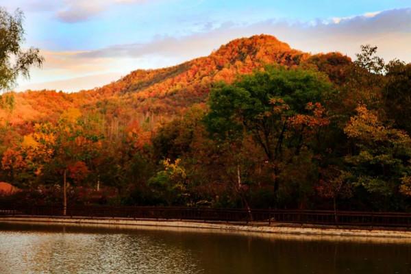 11月，看湖北，層林盡染！