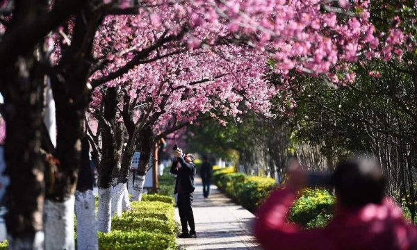 適合中老年人過冬的8個旅行地,給自己一份不老的底氣,出發吧 適合中老年人過冬的8個旅行地,給自己一份不老的底氣,出發吧