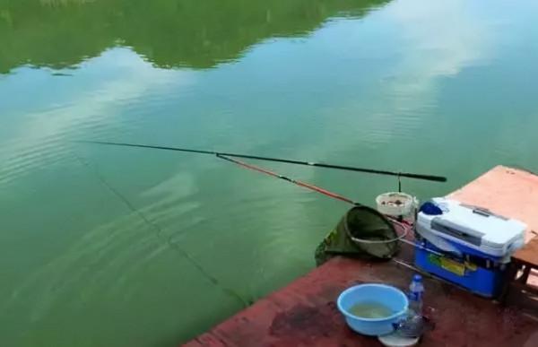 說千不如做一,野釣找魚這麼來,新手也能找到魚窩子 說千不如做一,野釣找魚這麼來,新手也能找到魚窩子