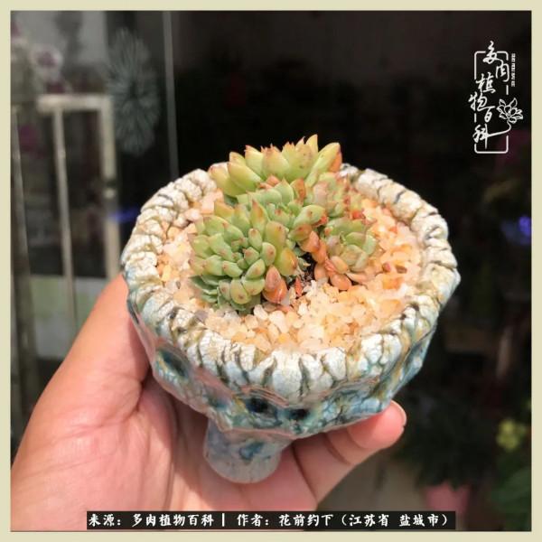 你儘管善良,福報都在路上 你儘管善良,福報都在路上