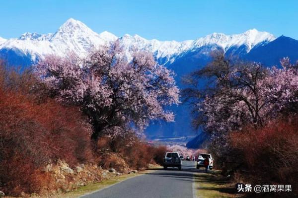 2022年的第一場旅行，國內這8個地方值得一去，你最喜歡哪裡？