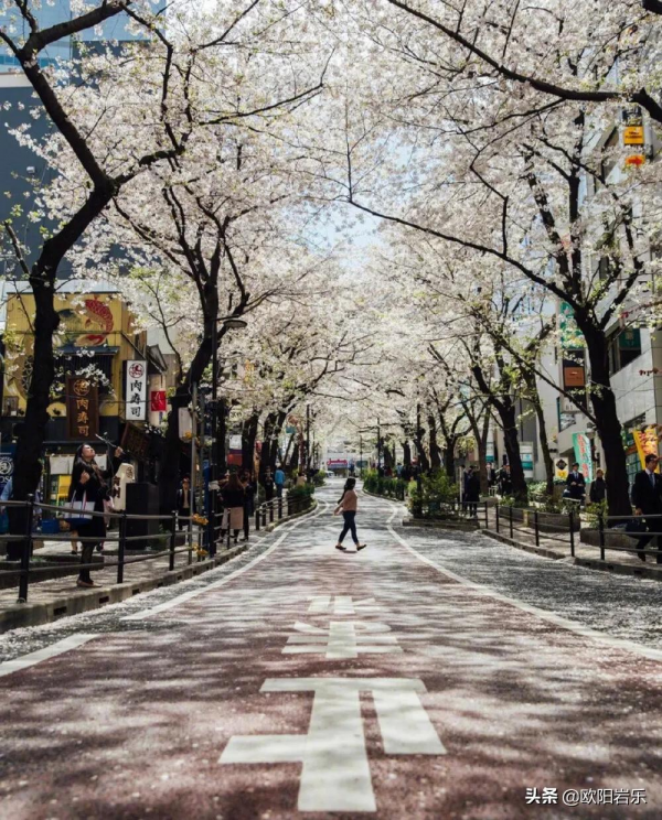 你想象不到！那些熱愛旅行的人，最後都怎樣了？