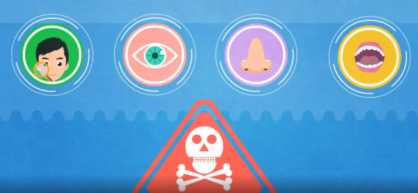 科普動畫 | 苯系列物的人體健康效應