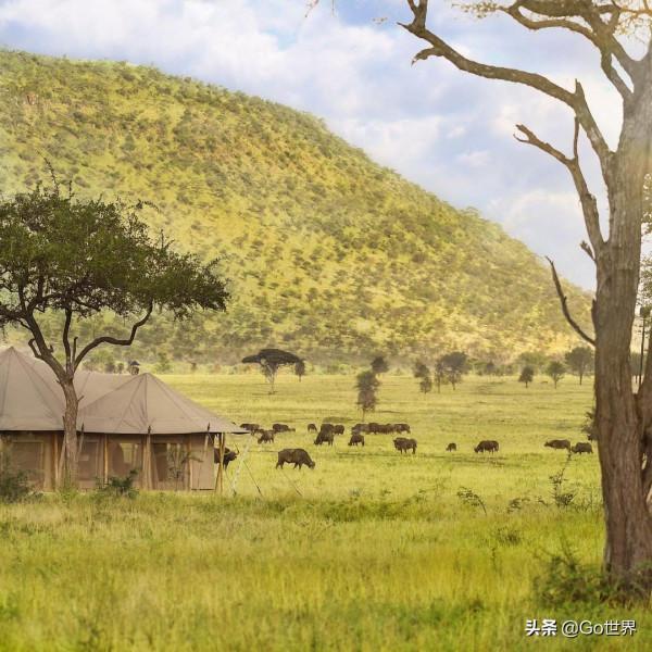 2022年世界上最貴的10家酒店