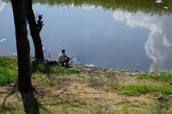 除了秋高氣爽，這幾種天氣出門釣魚，漁獲一點也不差