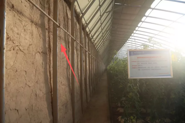 甘肅日光溫室探秘！哪種牆體和骨架最“流行”？哪種造價最划算？