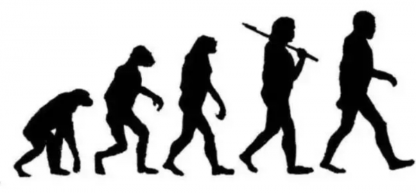 海蜘蛛用5億年親身證明一個道理：“只要足夠廢物，就沒天敵”