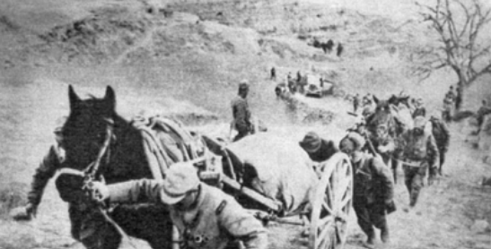 小分隊帶回一隻東洋狗,陳賡發現鬼子大毛病,直言:鬼子太狂妄了 小分隊帶回一隻東洋狗,陳賡發現鬼子大毛病,直言:鬼子太狂妄了