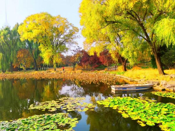 北京玉淵潭公園：如詩如畫的秋日美景