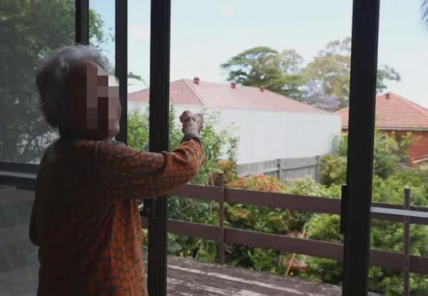 悉尼Eastwood華人住宅旁豎起4米高牆，98歲老人苦不堪言