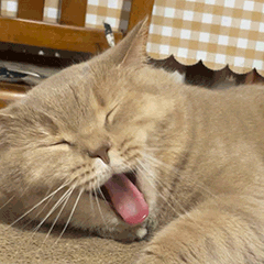 網戀殺豬盤變種:我有100種方式讓你進我的圈套,騙光你的錢 網戀殺豬盤變種:我有100種方式讓你進我的圈套,騙光你的錢