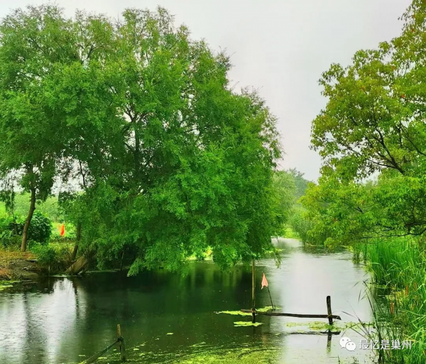 環巢湖行紀：尋跡含山仙蹤昭關