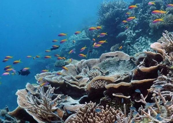 世界旅遊大獎出爐！它們是行業引領