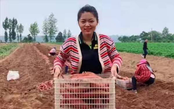 26歲江蘇美女，回村創業，年入百萬，婚禮直播被打賞10萬元