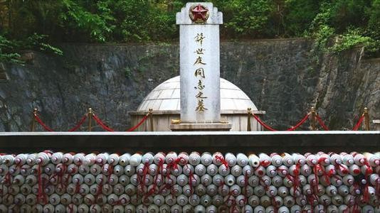 許世友衣錦回鄉，母親衣衫襤褸不敢相認：你是我的三伢子嗎？