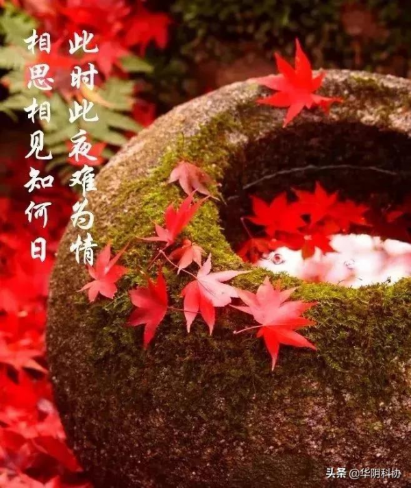 情人節,致此生最愛的三個情人! 情人節,致此生最愛的三個情人!