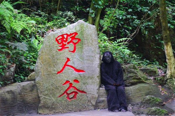 神農架真有野人嗎？身高2米體重300斤，坐著睡覺，專家推測是黑熊