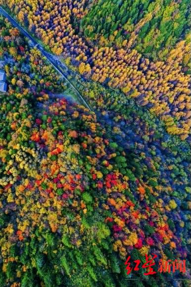 最佳觀賞期來了!10月20日,去阿壩州黑水縣賞最美冰川彩林 最佳觀賞期來了!10月20日,去阿壩州黑水縣賞最美冰川彩林