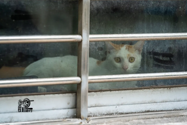 隨行 | 中國“最窄”的縣城——鹽津縣