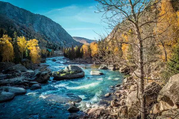 秋天的新疆，美成了桌布