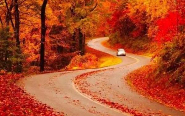 十條最美的公路，你喜歡哪一條？