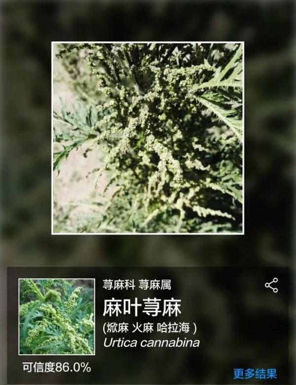 徒步戰國趙北長城（08）：哈德門溝——大壩溝