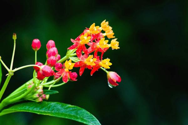 三觀正、人品好的星座，願意真心待人，值得交往