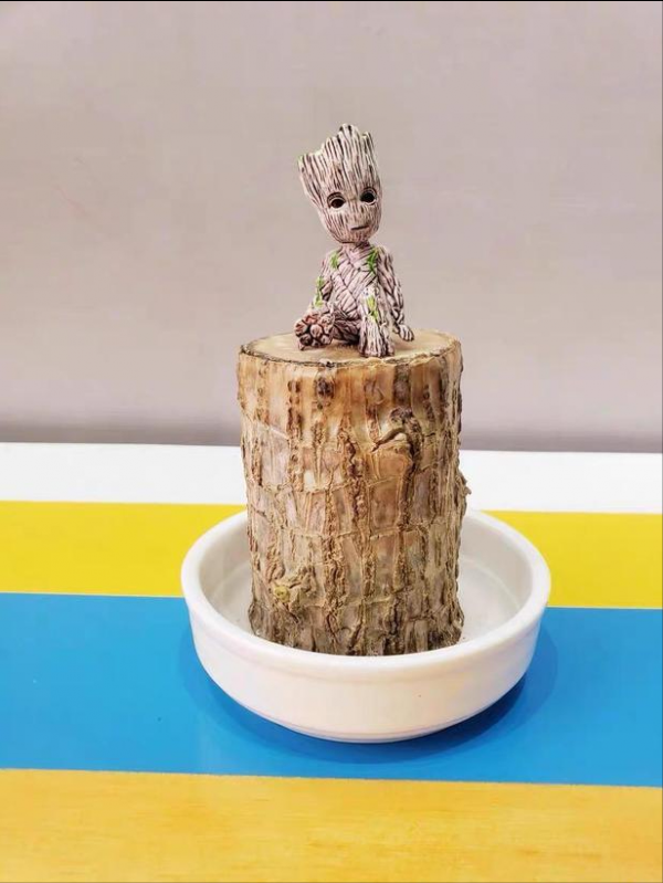 6種“乾淨花”，漂亮又衛生，養護簡單，不用土也能活