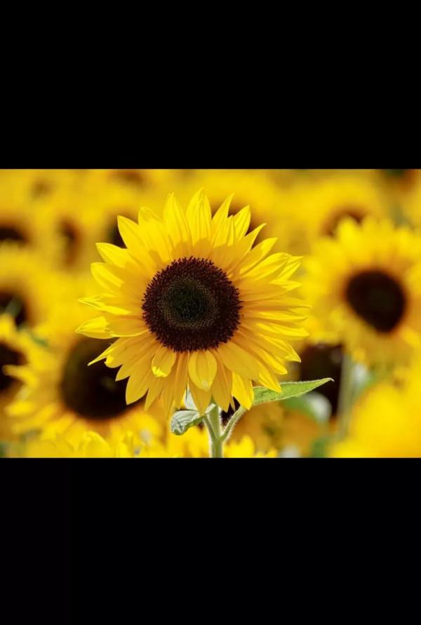 “功名看氣概,富貴看精”神,怎麼保護好我們的精氣神呢? “功名看氣概,富貴看精”神,怎麼保護好我們的精氣神呢?