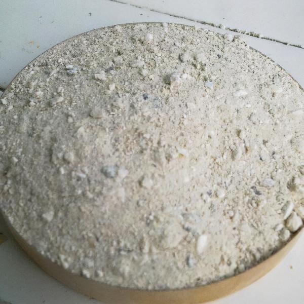 腐葉土，松針土，都比不上這種“骨粉土”，養一盆爆一盆